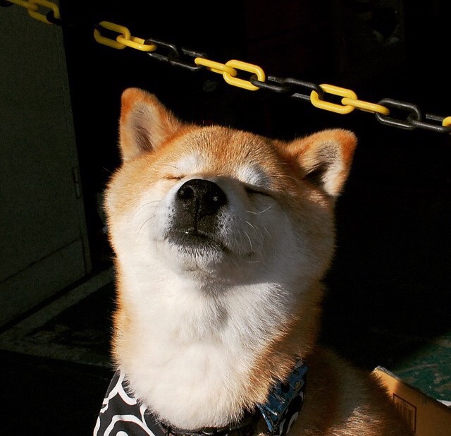 _湖人队迎来强劲反弹,季后赛希望更加强烈_,湖人队季后赛赛程