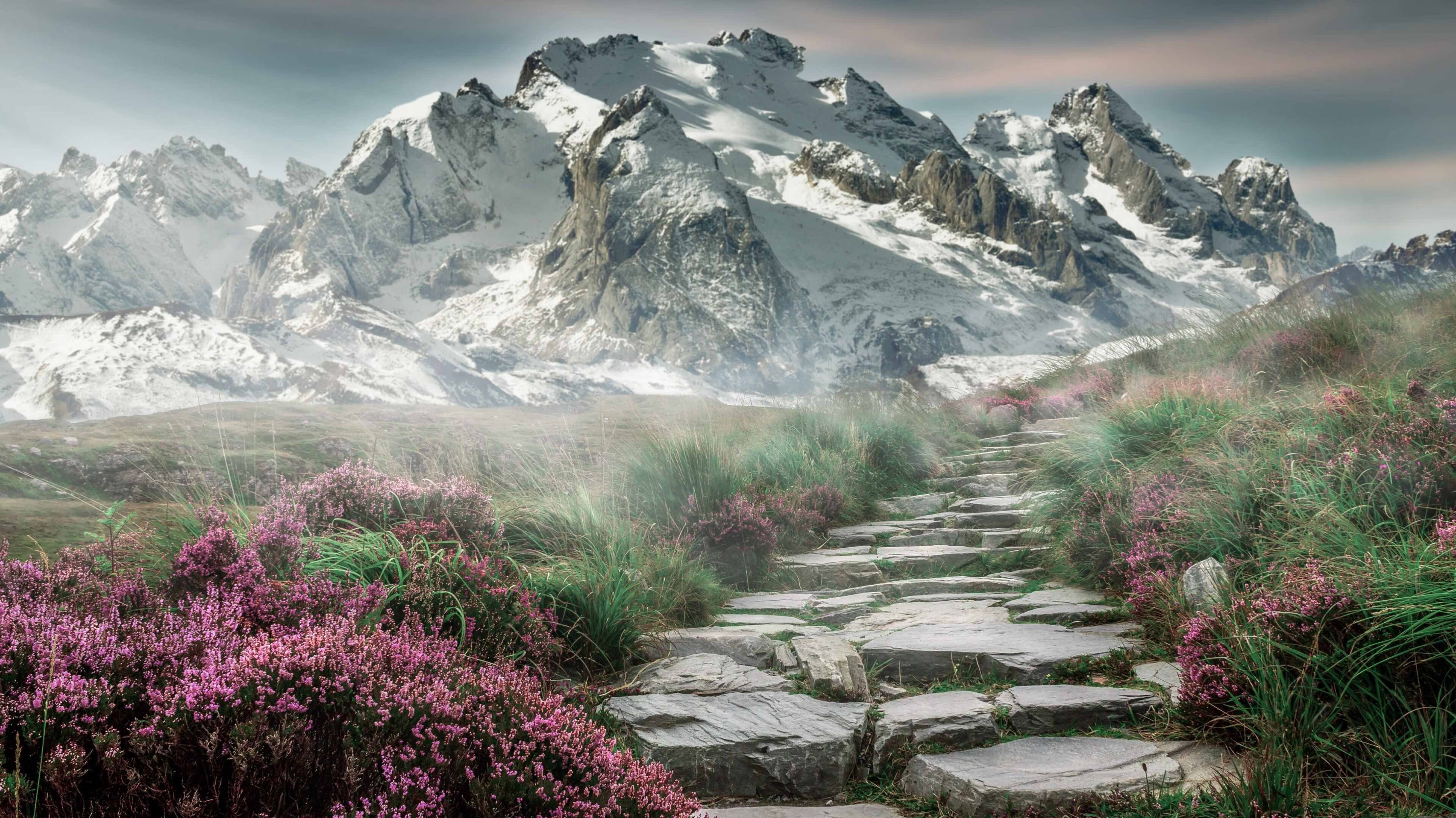 《英雄联盟夏季赛，冠军争夺战高潮迭起》，英雄联盟夏季赛omg