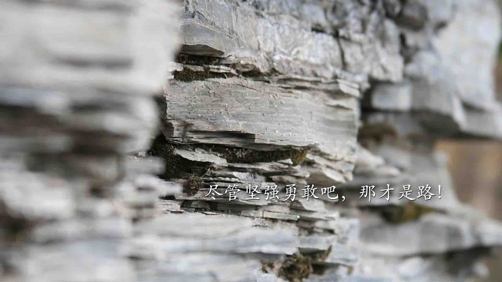 九游体育官网入口-全国青少年蹦床锦标赛，童真与力量的完美结合，中国青少年蹦床训练教学大纲