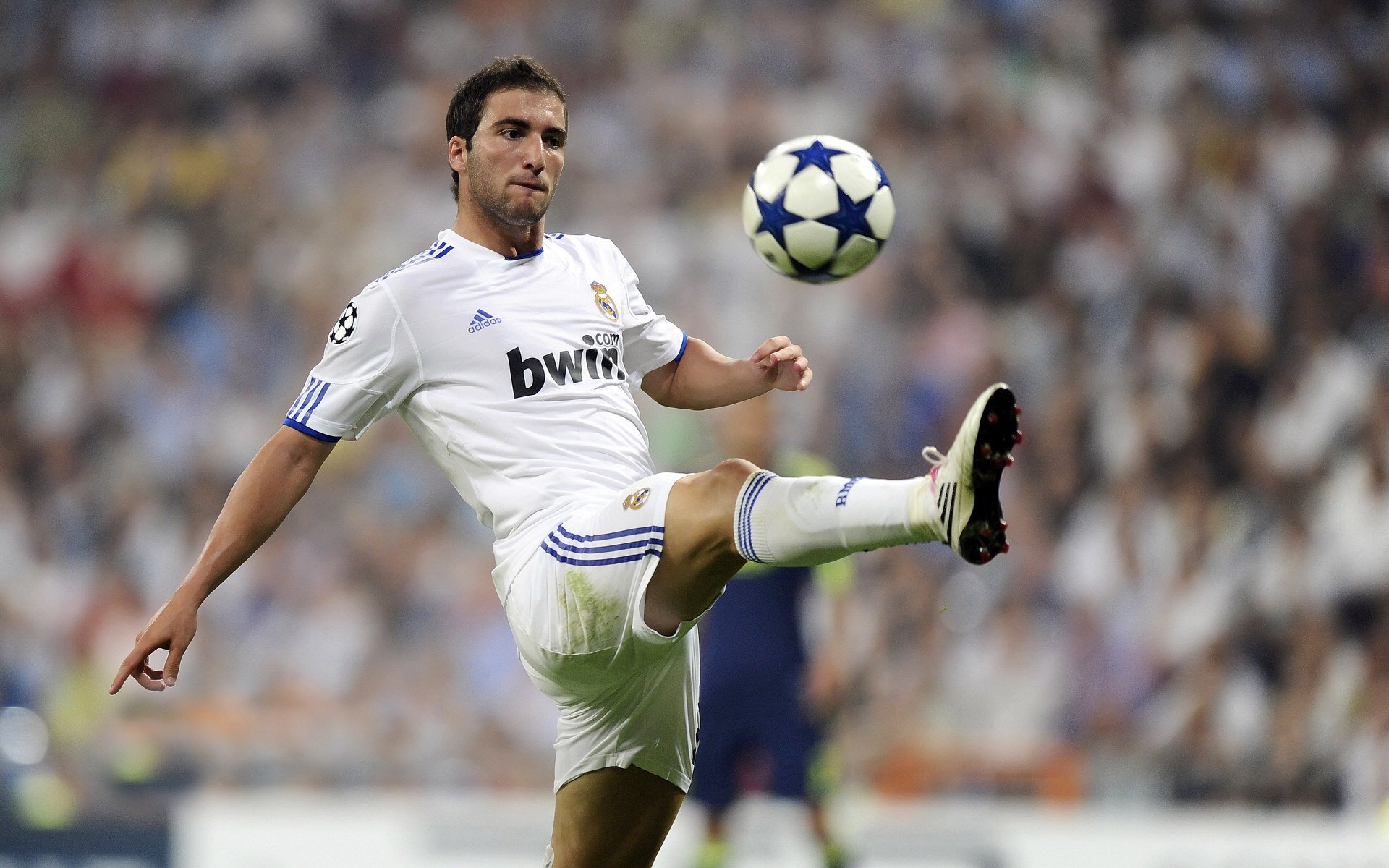 数据显示技术动作逐步国际化，数据显示技术动作逐步国际化的原因